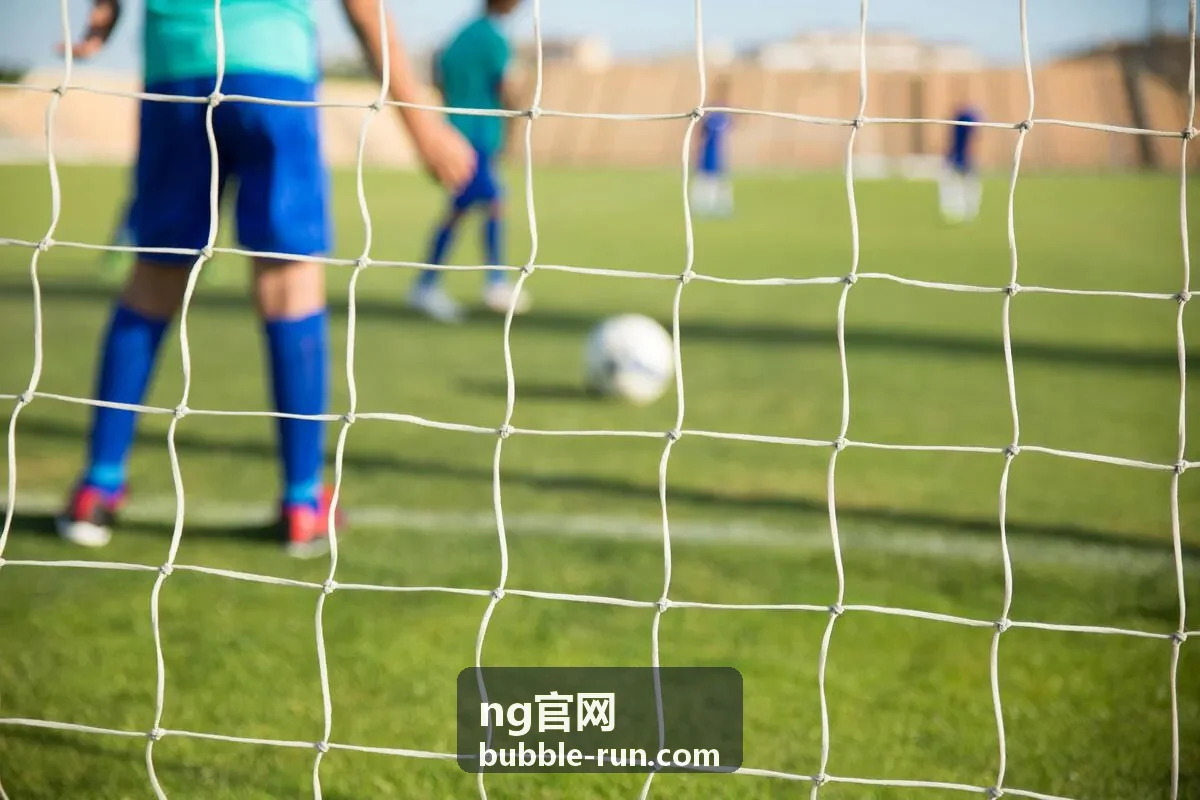 ng官网轻量排序技巧封面